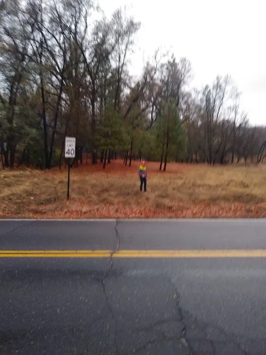 Hidden Valley Trailer Park Picture 1