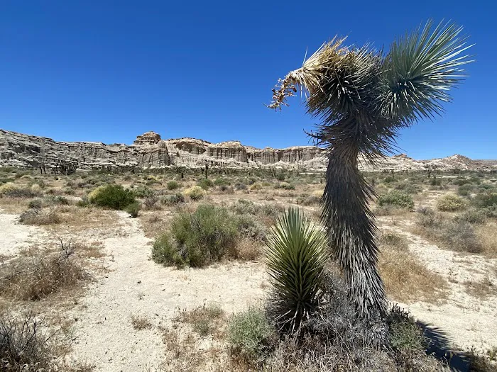 Ricardo Campground Picture 10
