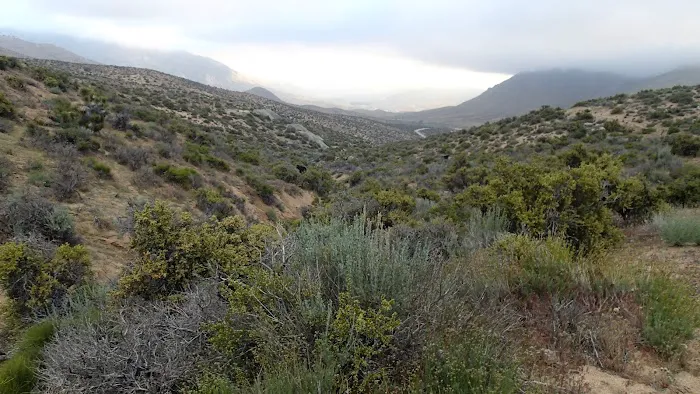 Walker Pass Campground Picture 4