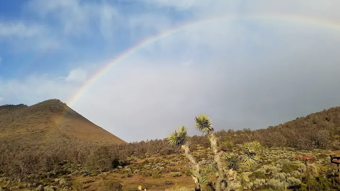Walker Pass Campground Picture 6