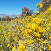 Walker Pass Campground ico