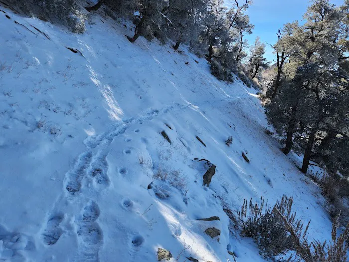 Walker Pass Campground Picture 10