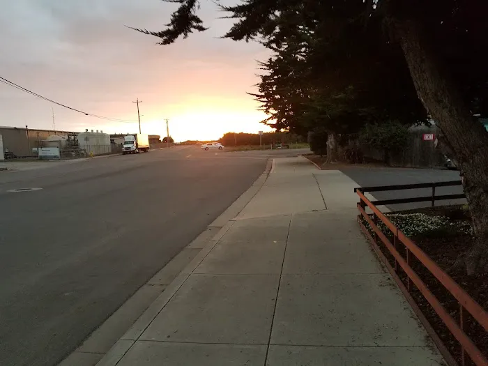 Morro Strand RV Park Picture 7