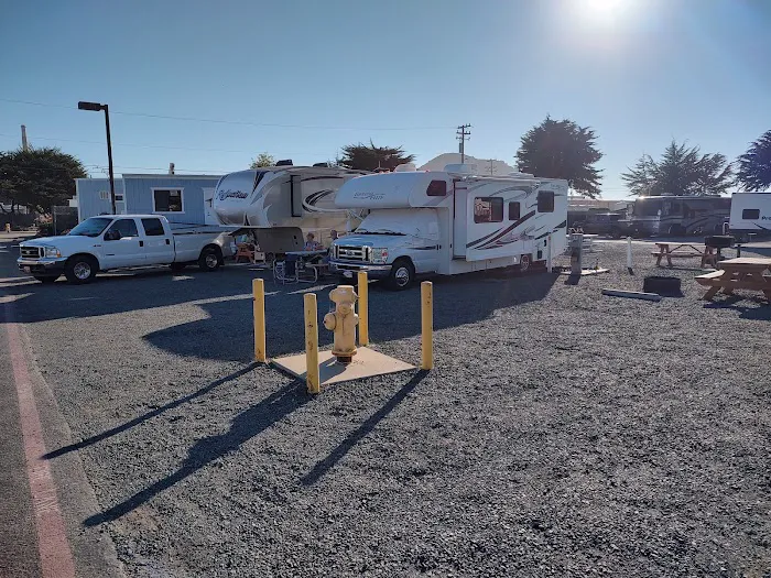 Morro Strand RV Park Picture 5