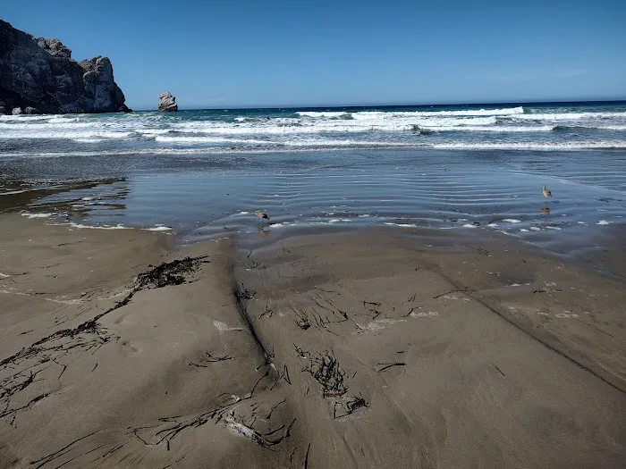 Morro Strand RV Park Picture 3