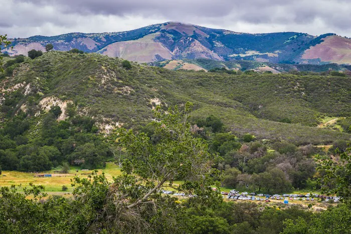 Live Oak Camp Picture 6