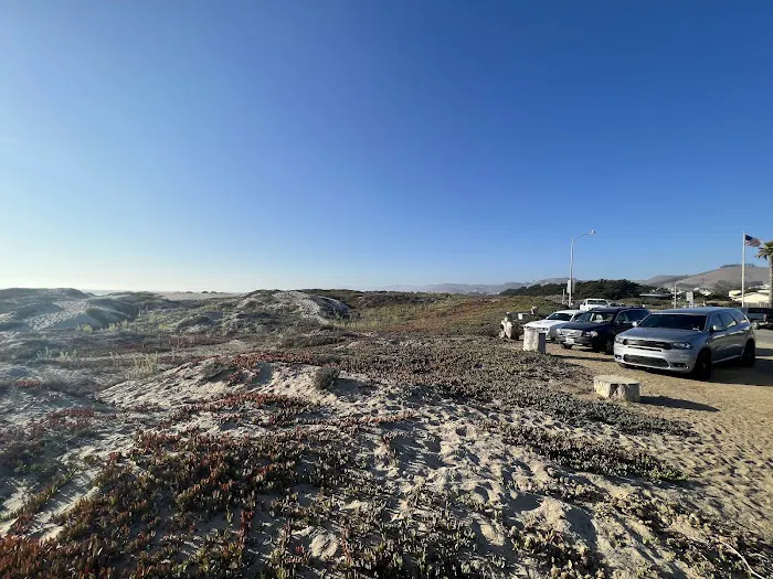 Morro Dunes RV Park Picture 9