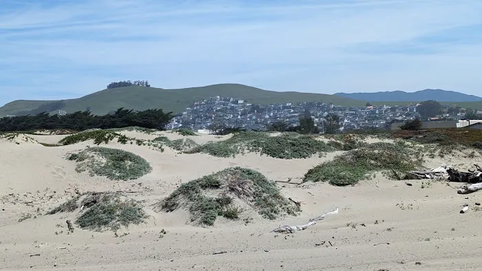 Morro Dunes RV Park Picture 8