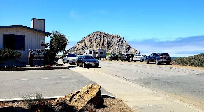 Morro Dunes RV Park Picture 4