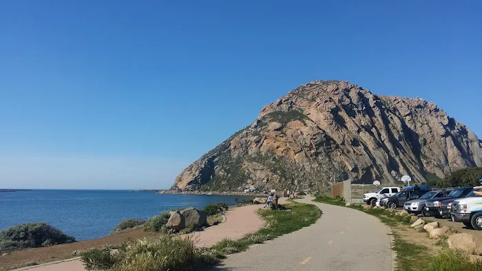 Morro Dunes RV Park Picture 7