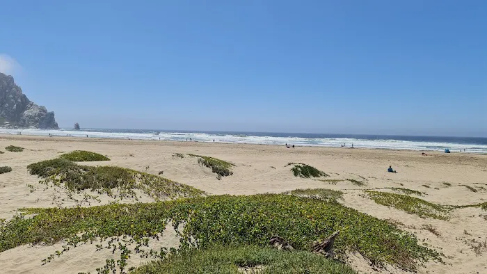 Morro Dunes RV Park Picture 1