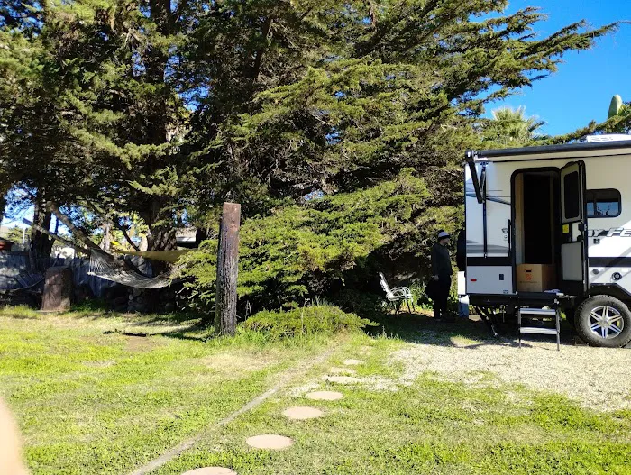 The Beachhouse RV Park Picture 5