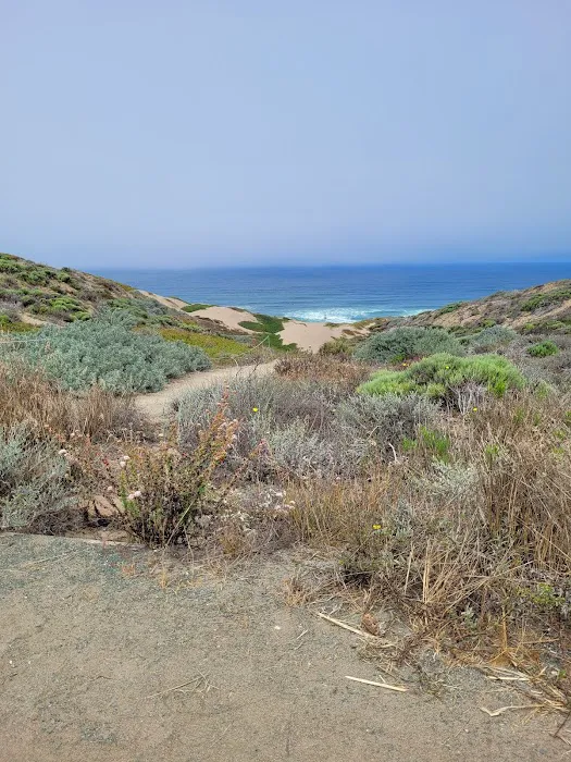 The Beachhouse RV Park Picture 8
