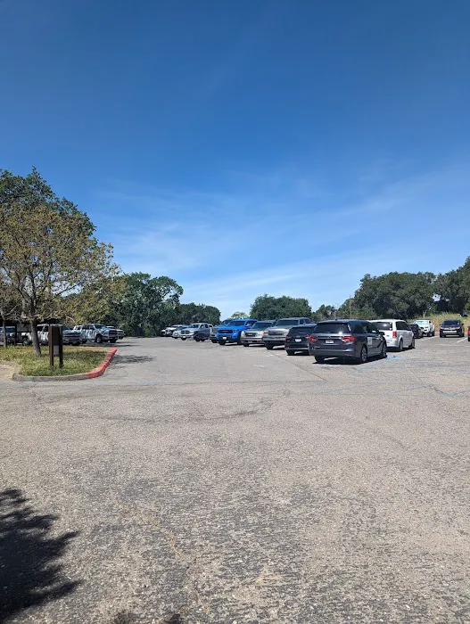 Cachuma Lake Campground Picture 5