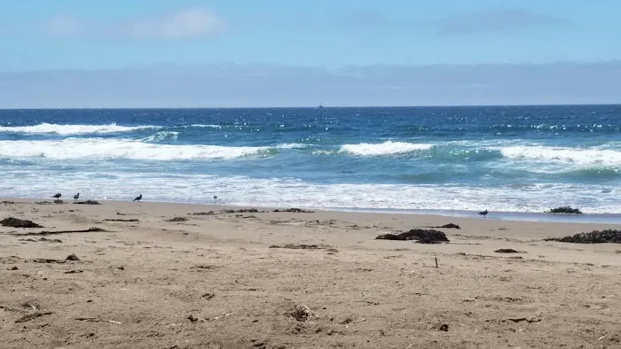 Cypress Morro Bay RV & MH Park Picture 7