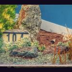 Morro Shores Mobile Home Park