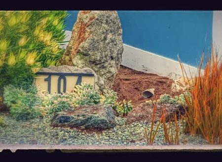 Morro Shores Mobile Home Park