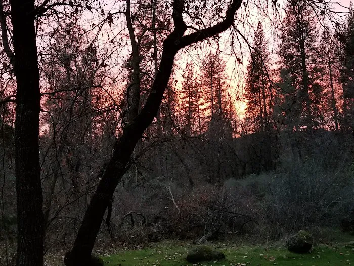 Antlers Resort and RV park Picture 9