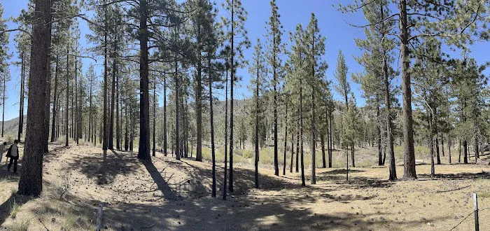 Little Bear Spring Trail Camp Picture 1