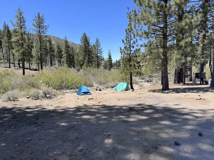 Little Bear Spring Trail Camp Picture 4