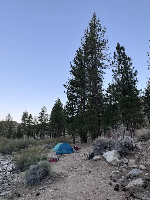 Little Bear Spring Trail Camp Picture 2