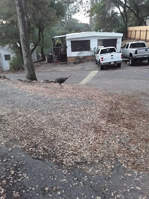 Star Mobile Estates Picture 5