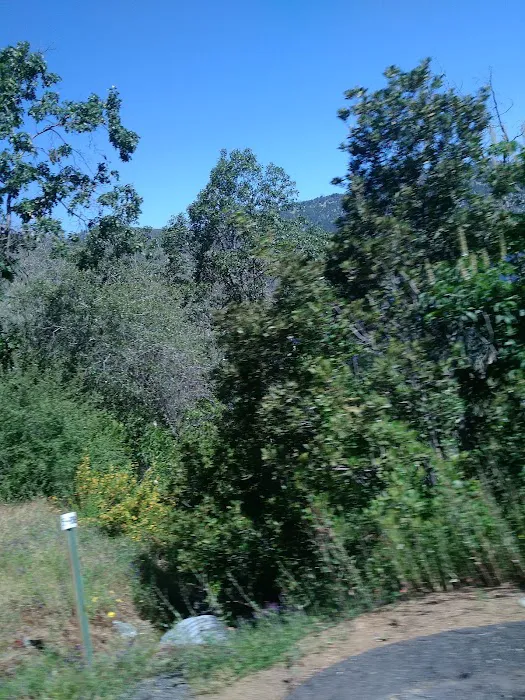 Star Mobile Estates Picture 9