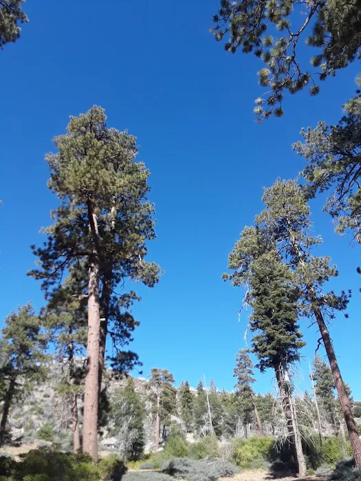 Hanna Flat Campground Picture 4