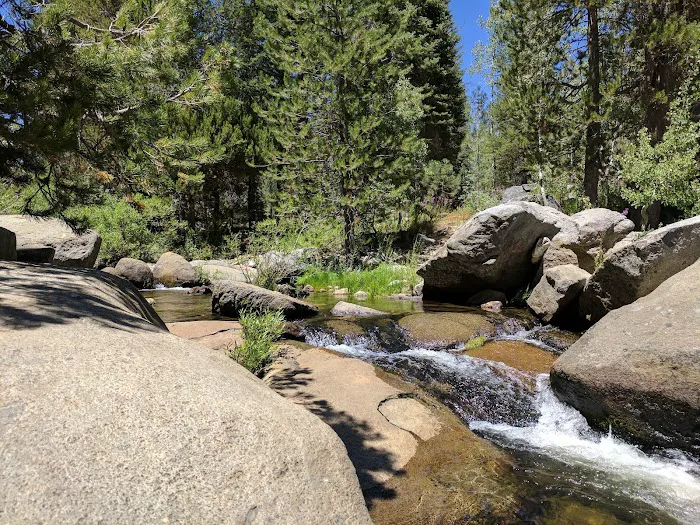 Peppermint Creek Picture 2