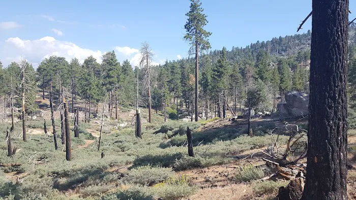 Gray's Peak Group Camp Picture 7