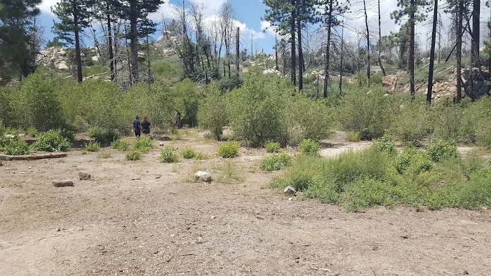 Gray's Peak Group Camp Picture 5