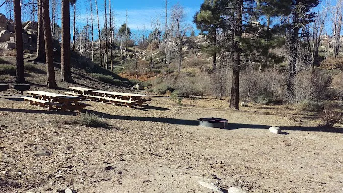 Gray's Peak Group Camp Picture 1