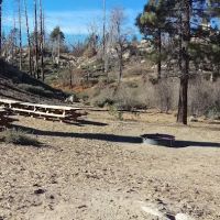 Gray's Peak Group Camp ico