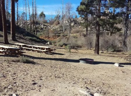 Gray's Peak Group Camp