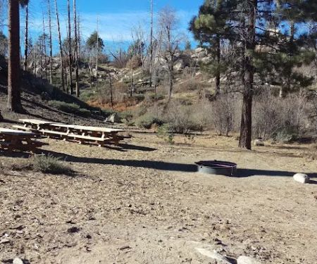 Gray's Peak Group Camp