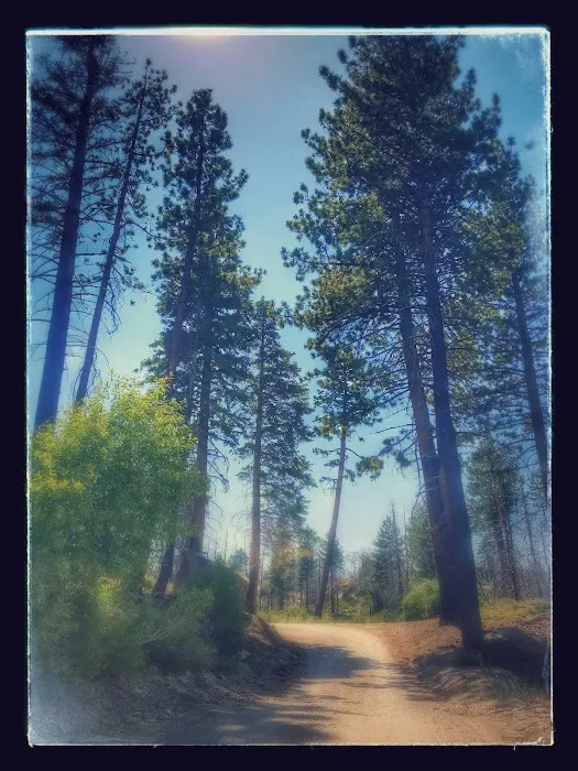 Gray's Peak Group Camp Picture 9