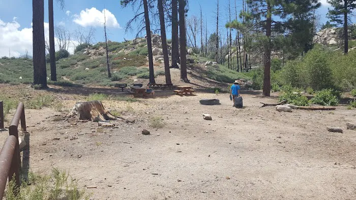 Gray's Peak Group Camp Picture 6