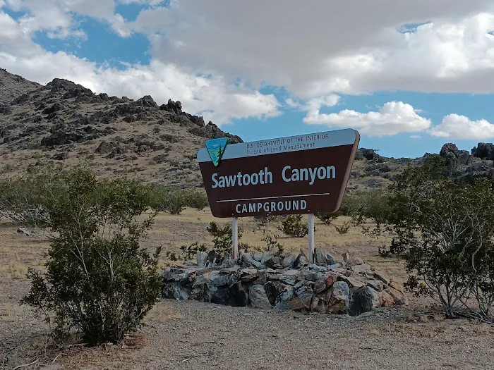 Sawtooth Canyon Campground Picture 2