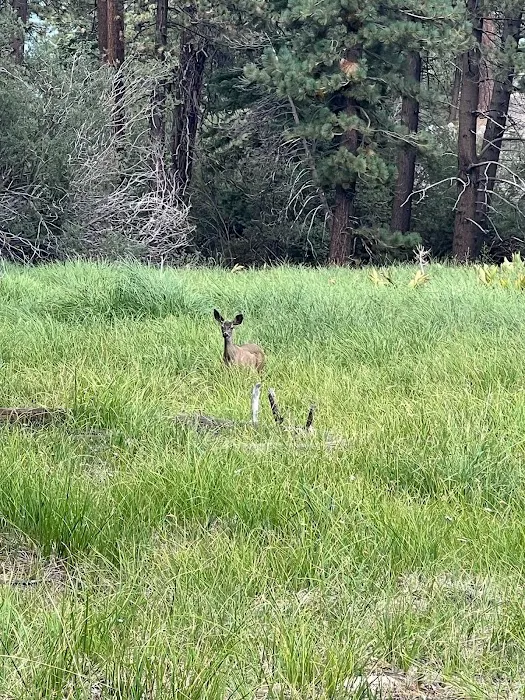 Boulder Group Campground Picture 7