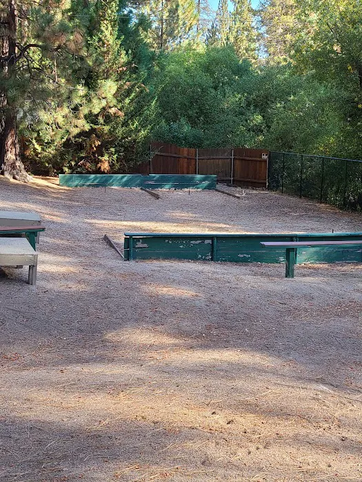 Big Bear Camp Picture 4