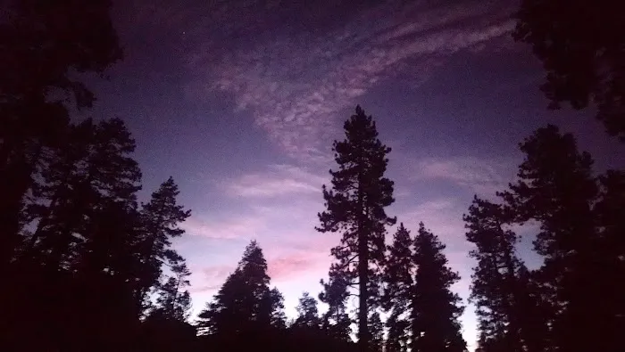 Big Bear Camp Picture 9