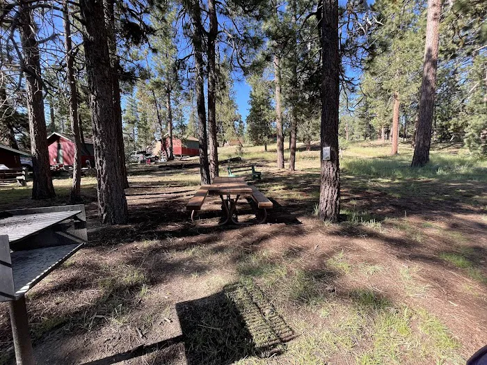 Camp Tanda Picture 10