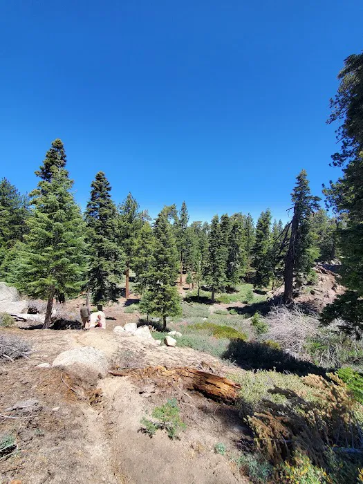 Deer Group Campground Picture 7