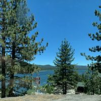 Big Bear ico