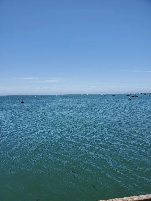 Port San Luis RV Campground Picture 7