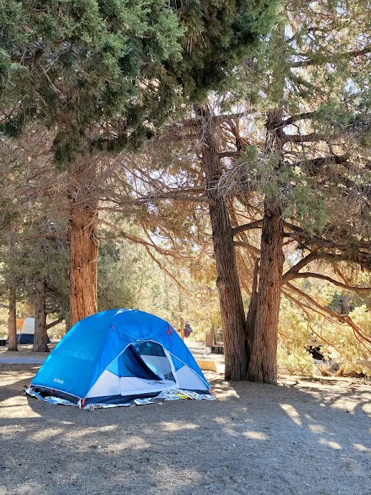 Serrano Campground Picture 2