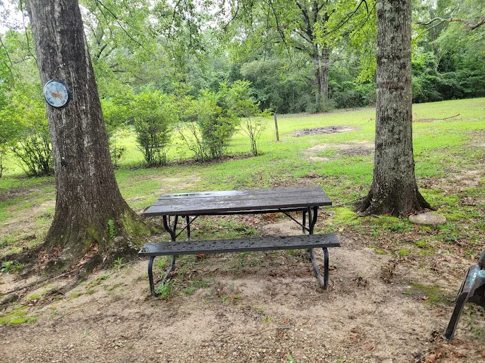 Woodland Farm Picture 6