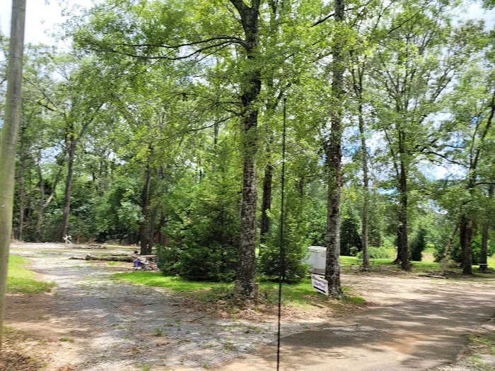 Woodland Farm Picture 7