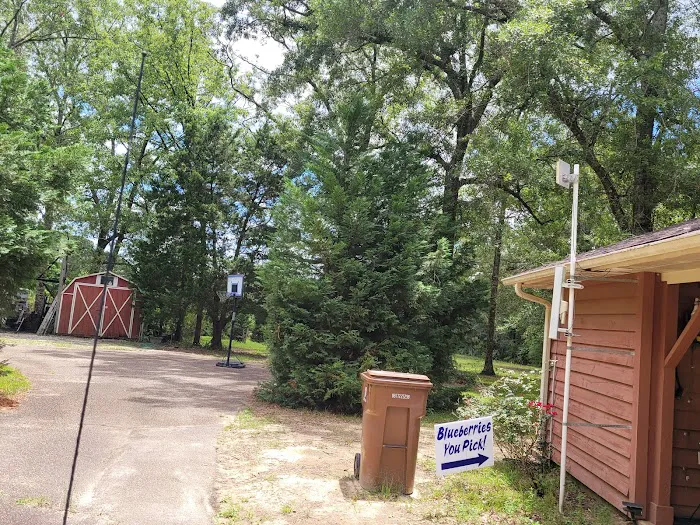 Woodland Farm Picture 9
