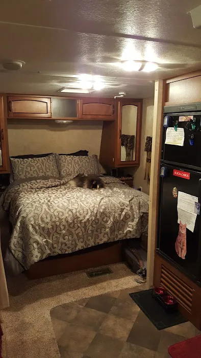 Pismo Coast Village RV Resort Picture 1